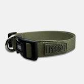 Coleira para Cachorro Pacco Aquarela Pistache